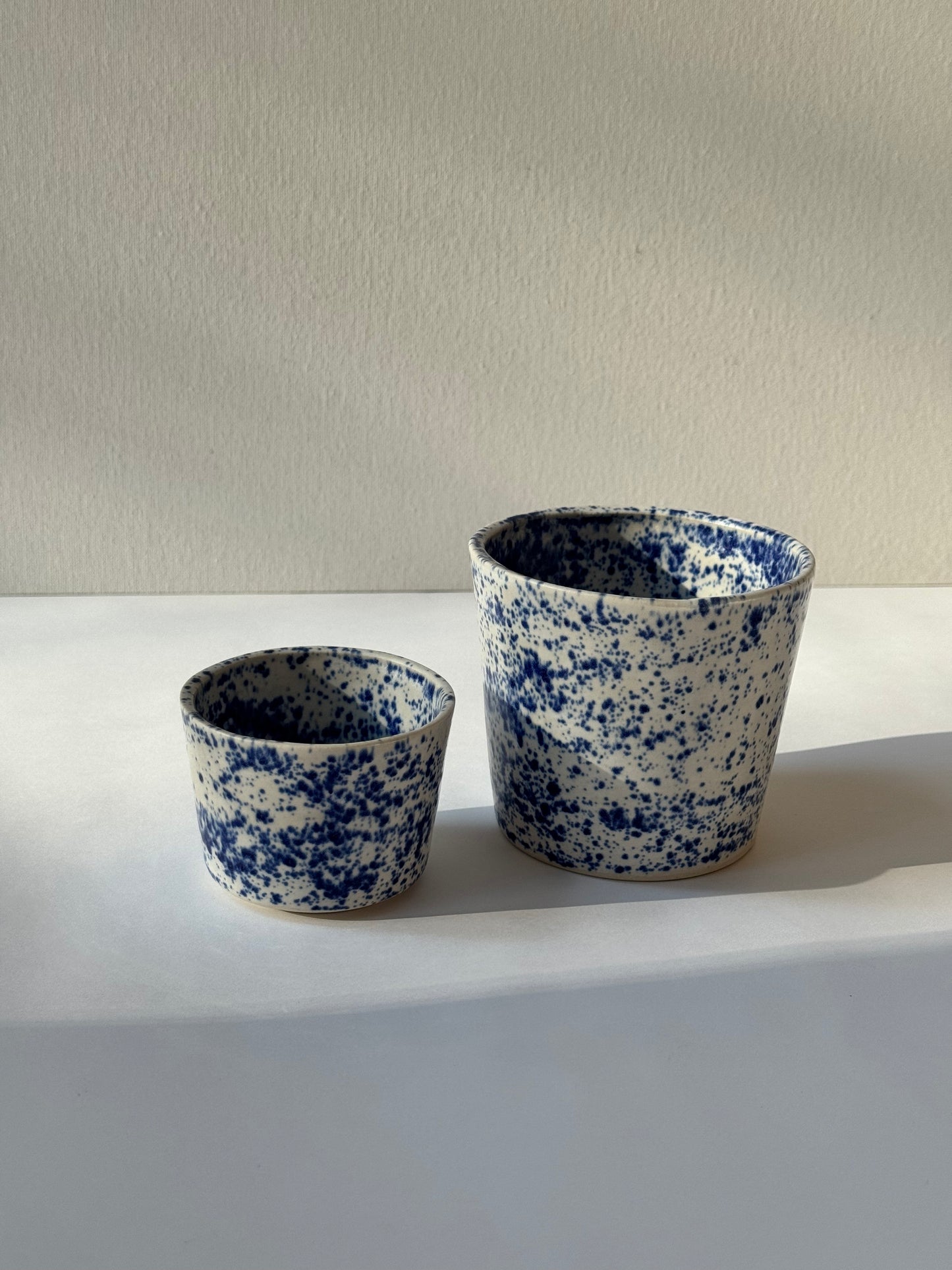 Błękitny Piegus Czarka