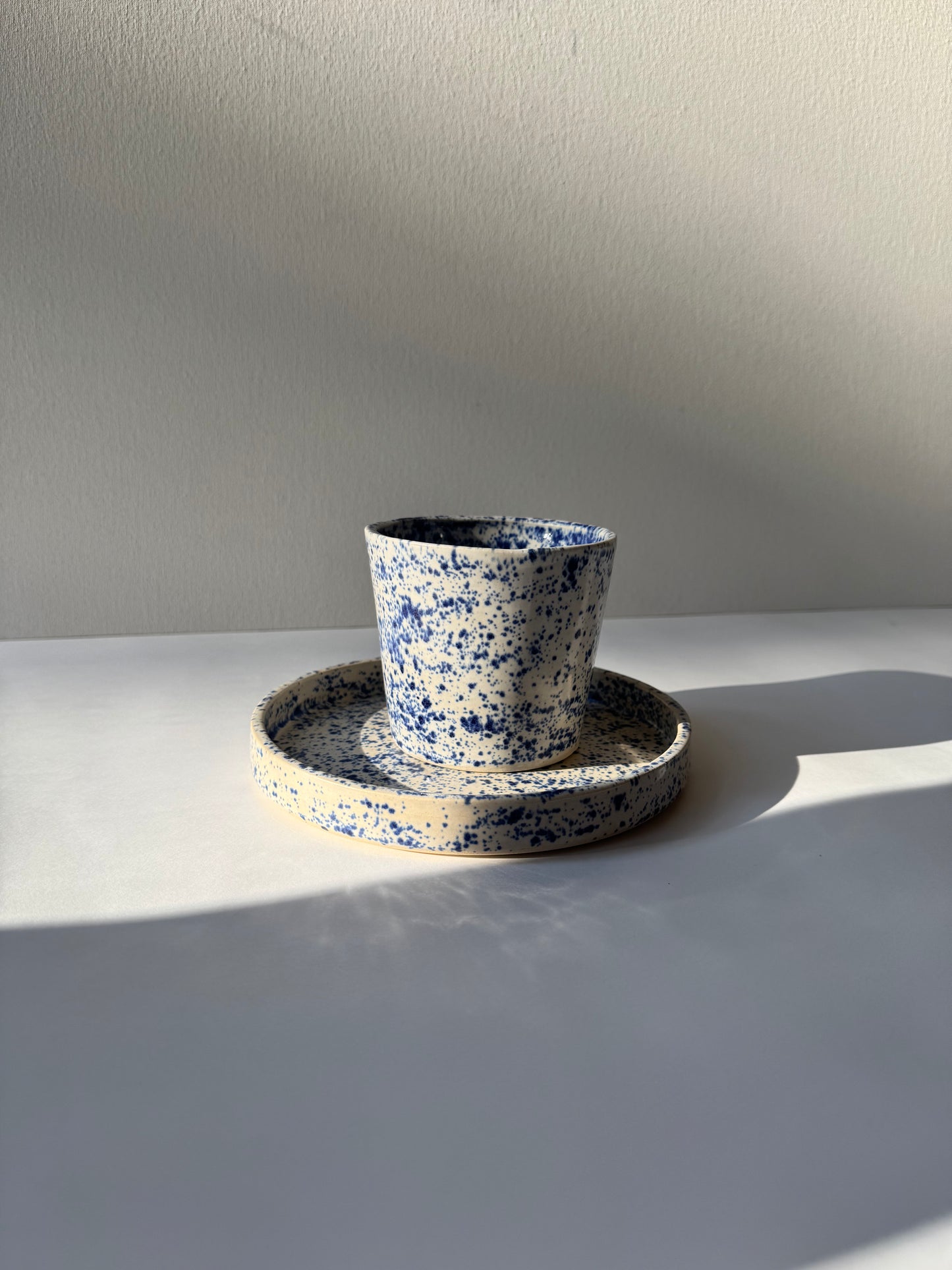 Błękitny Piegus Czarka