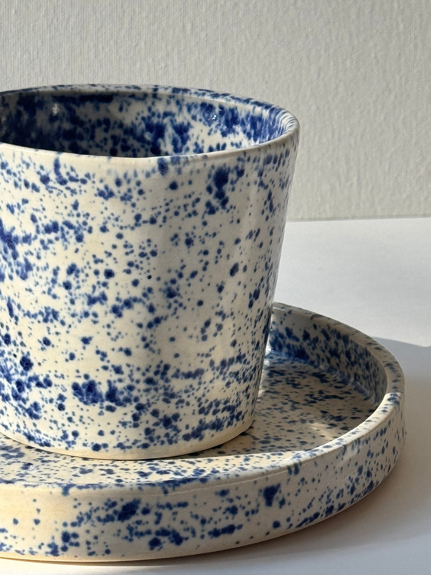 Błękitny Piegus Czarka