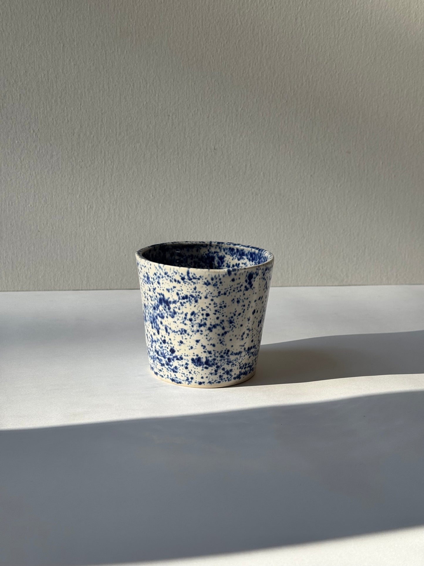 Błękitny Piegus Czarka