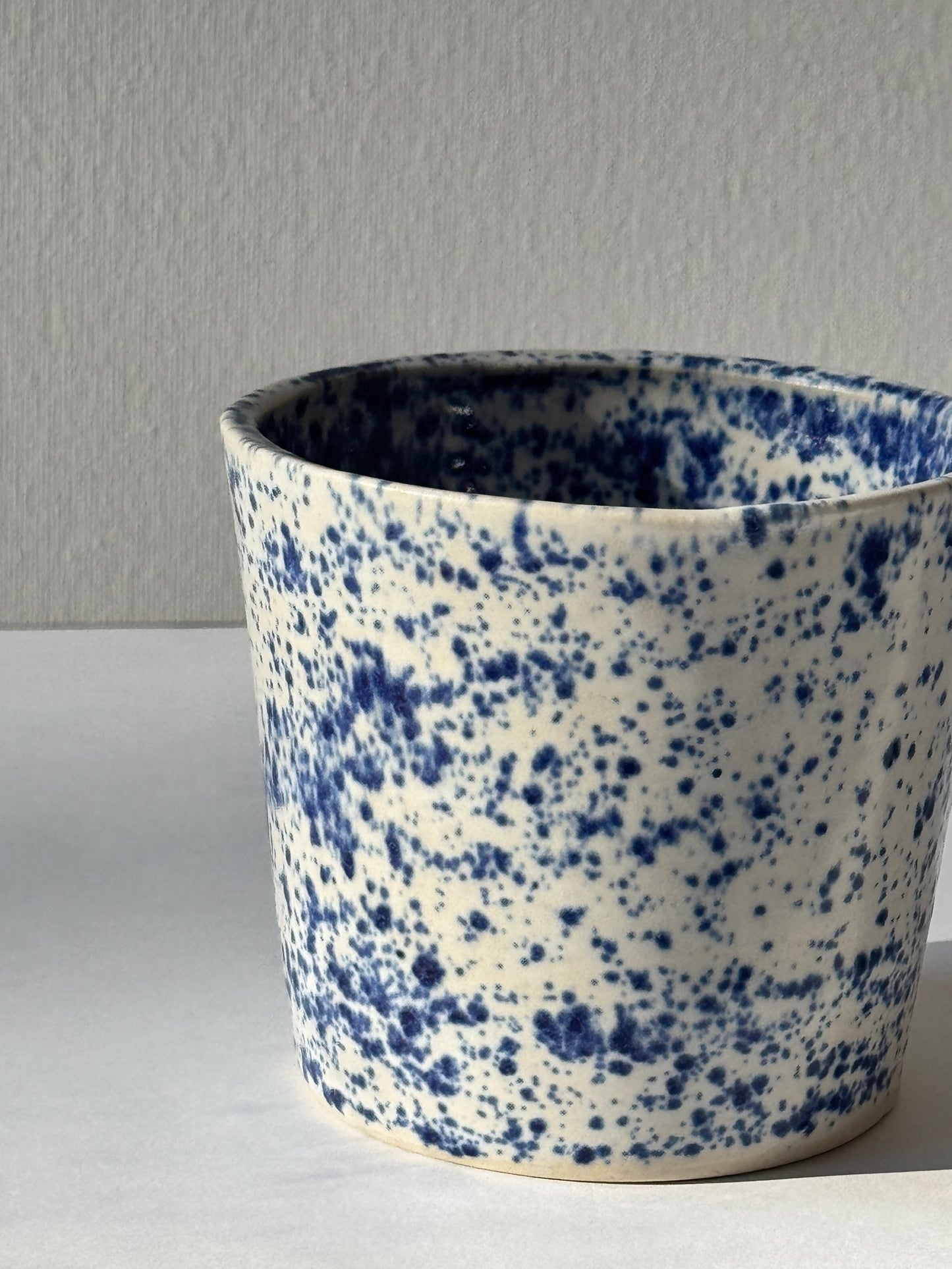 Błękitny Piegus Czarka