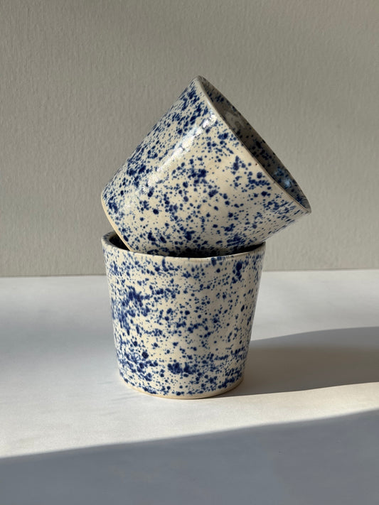 Błękitny Piegus Czarka