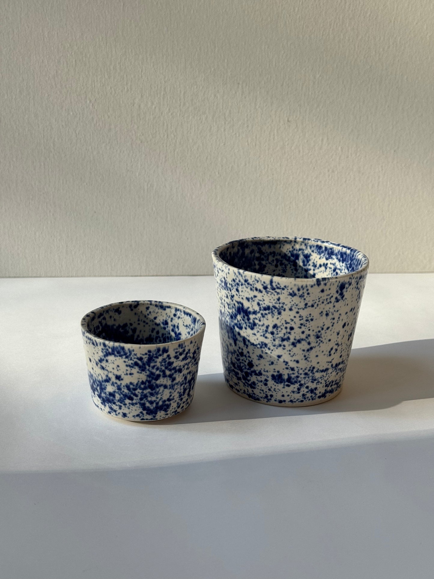 Niebieski Piegus Mała Czarka