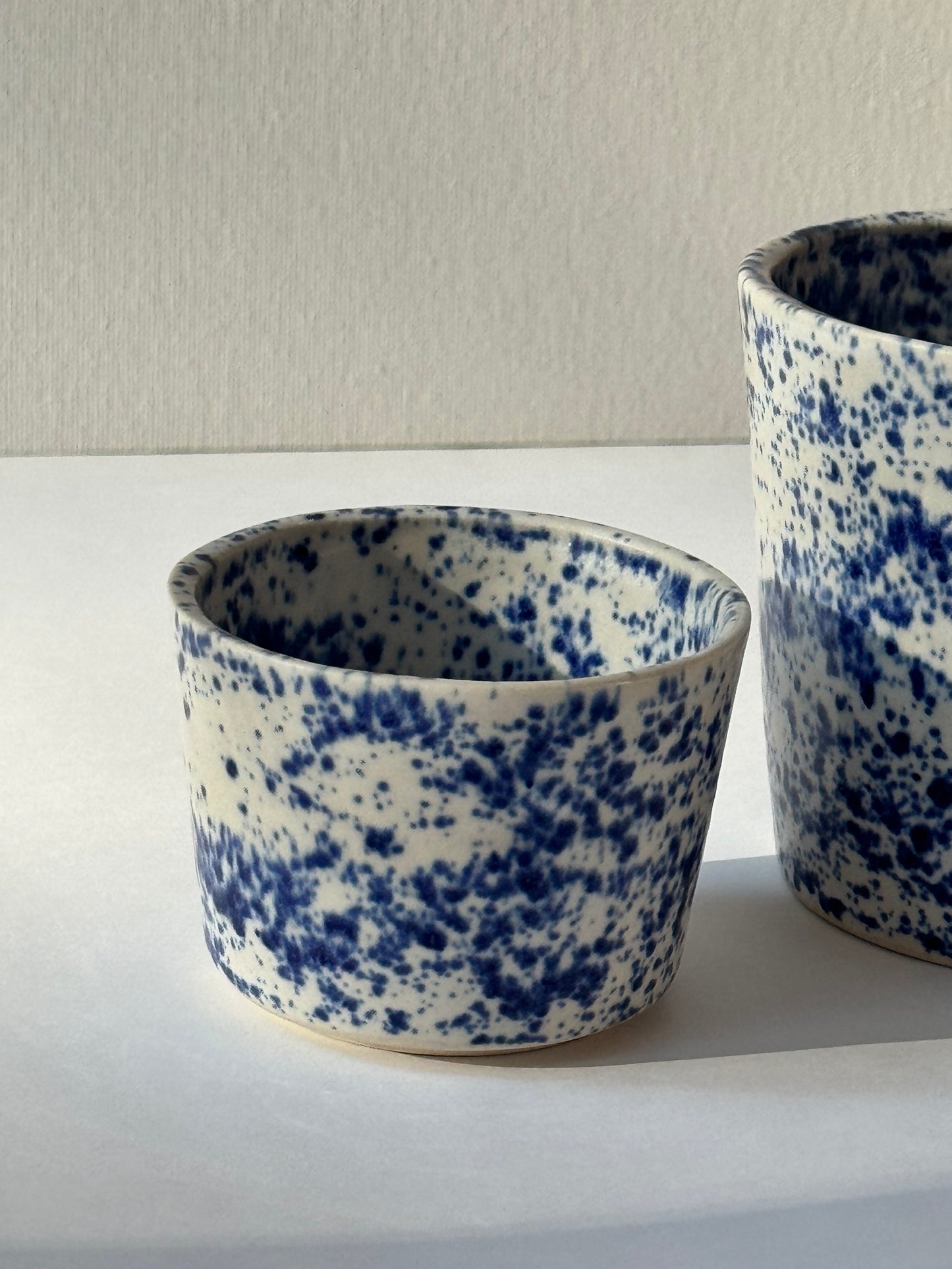 Niebieski Piegus Mała Czarka