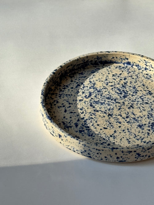 Blue Freckle Plate